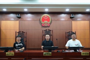 司法公開新窗口 第111次公眾開放日，青島聯(lián)信商務(wù)咨詢哈爾濱分公司走進(jìn)南崗區(qū)法院