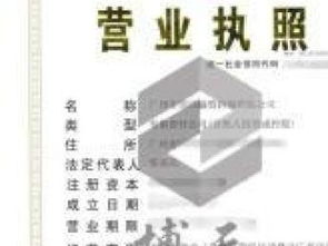 公司執(zhí)照轉讓與法律咨詢全解析